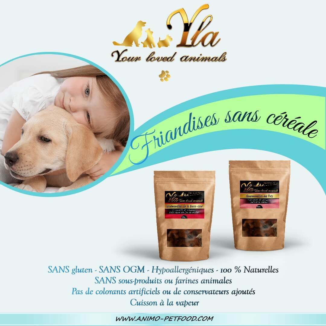 friandises-hypoallergeniques-naturelles-pour-chien